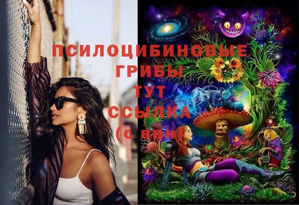 твердый Алзамай