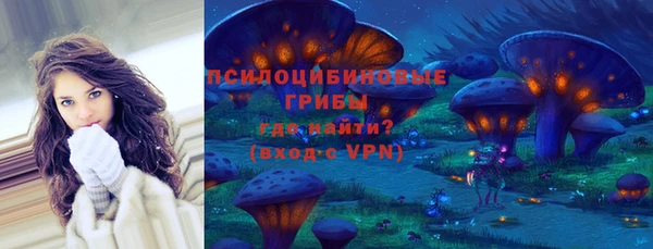 твердый Алзамай