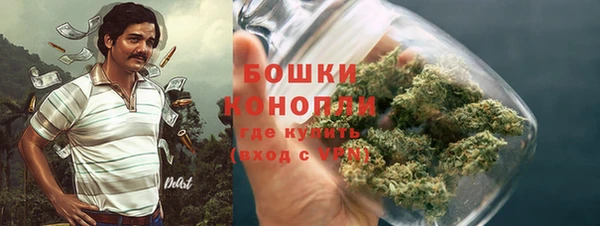 твердый Алзамай
